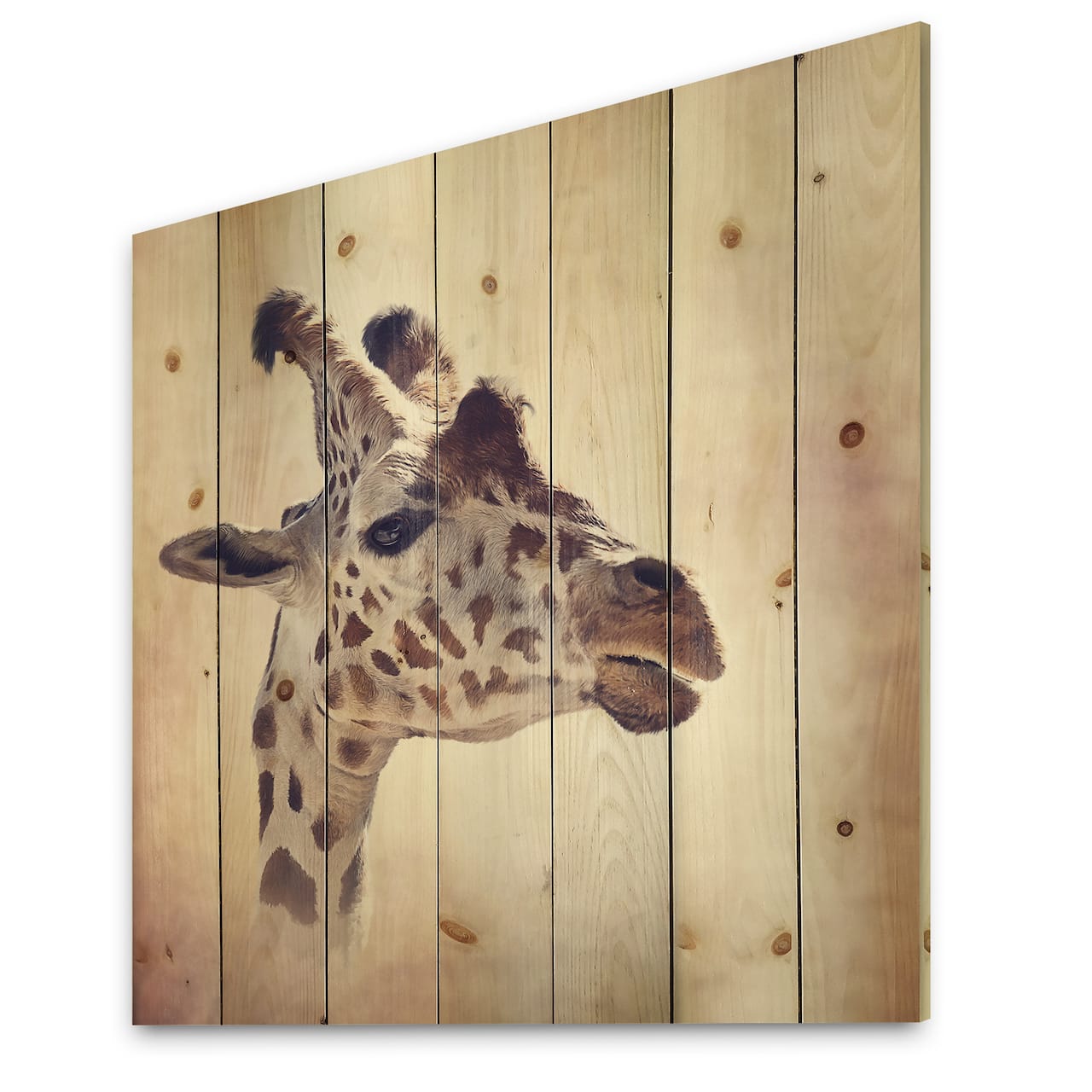 Designart - Portrait of A Giraffe III - Farmhouse Print on Natural Pine Wood